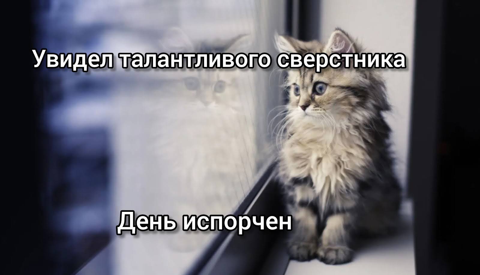 Научная монография